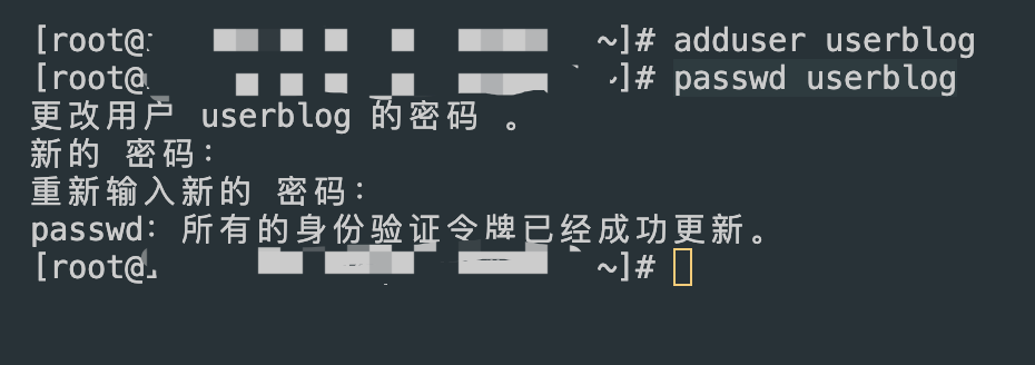 image-20241204203047373