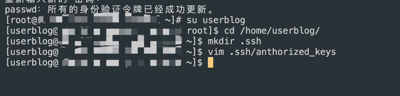 image-20241204204009258