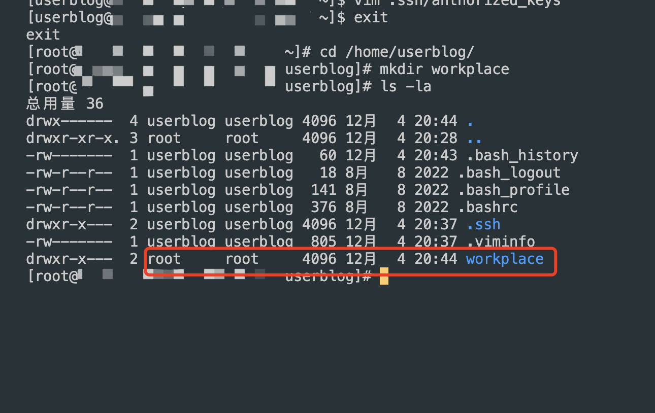 image-20241204204751987