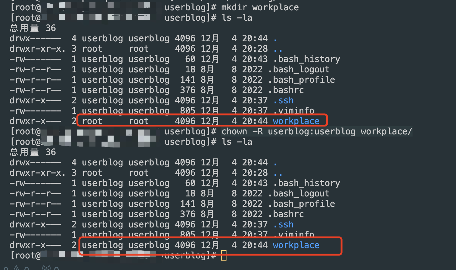 image-20241204205041770