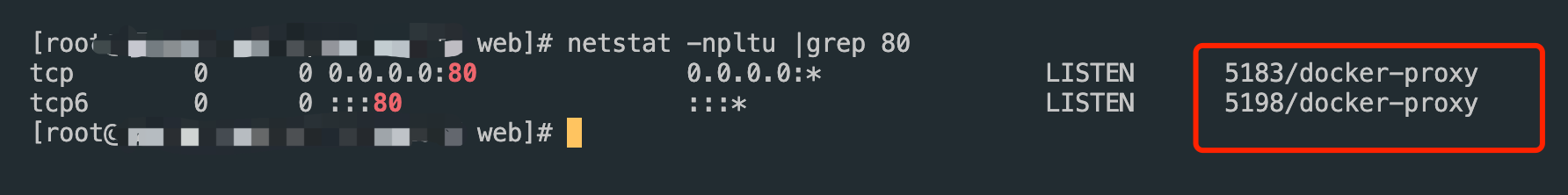 image-20241204214819300